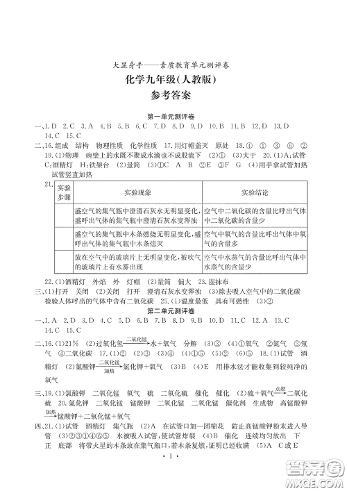 光明日报出版社2020大显身手素质教育单元测评卷九年级化学下册人教版答案