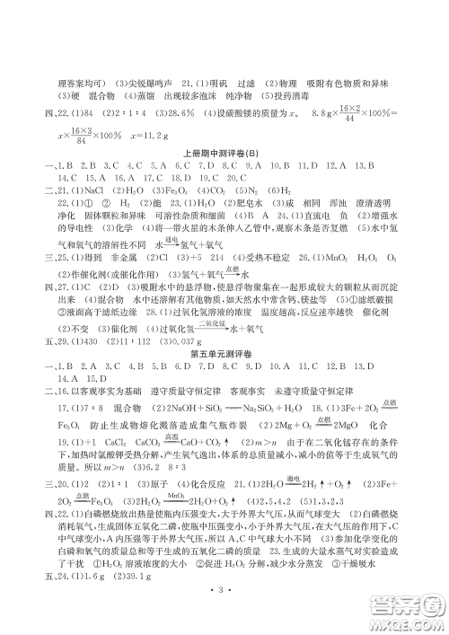 光明日报出版社2020大显身手素质教育单元测评卷九年级化学下册人教版答案