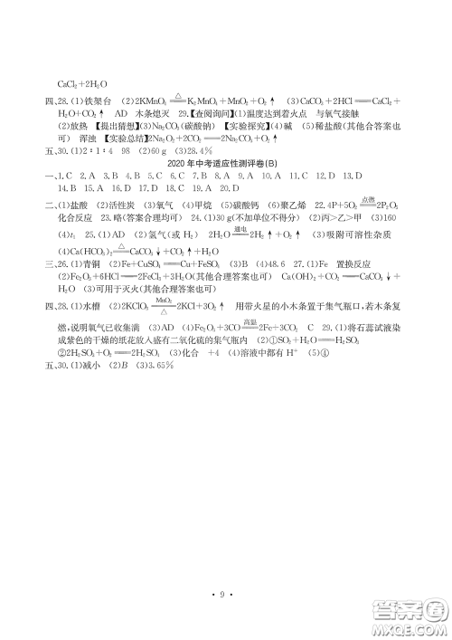 光明日报出版社2020大显身手素质教育单元测评卷九年级化学下册人教版答案