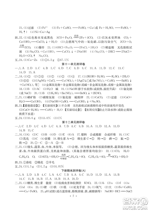 光明日报出版社2020大显身手素质教育单元测评卷九年级化学下册人教版答案