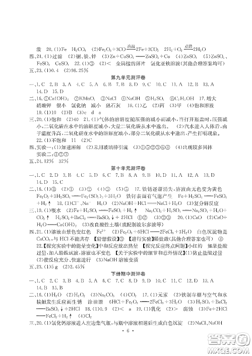 光明日报出版社2020大显身手素质教育单元测评卷九年级化学下册人教版答案