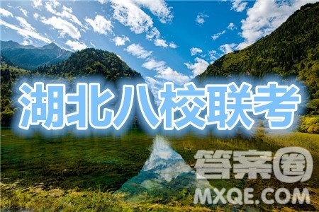 2020届高三湖北八校第二次联考英语试题及答案