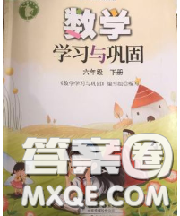 海燕出版社2020新版数学学习与巩固六年级下册北师版答案 海燕出版社2020新版数学学习与巩固六年级下册北师版答案