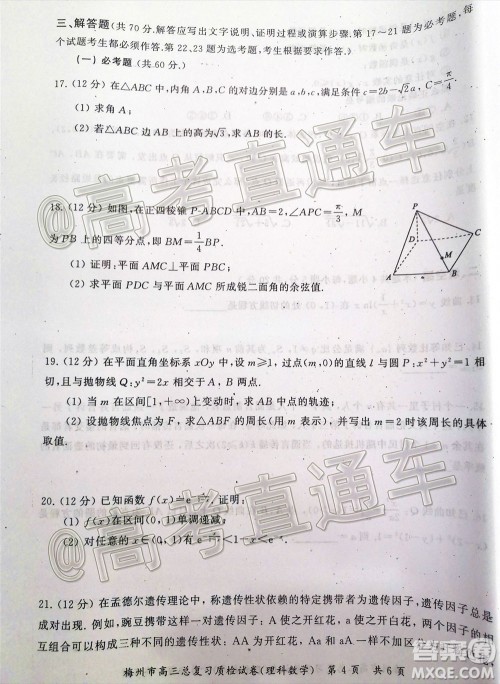 2020年5月梅州市高三总复习质检试卷理科数学试题及答案