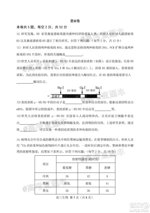 天津市河北区2019-2020学年度高三年级总复习质量检测一生物试题及答案
