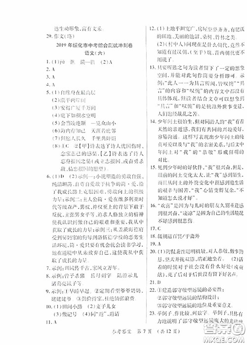 黑龙江少年儿童出版社2020创新与探究中考综合测试卷冲刺篇语文绥化专用答案