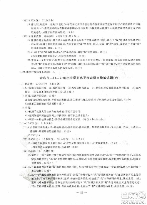 四维文化中考考什么2020中考冲刺模拟卷语文答案