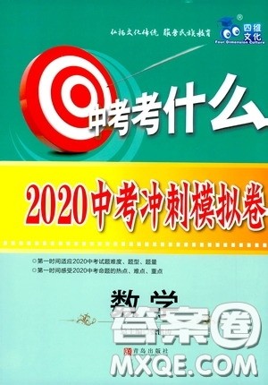 四维文化中考考什么2020中考冲刺模拟卷数学答案