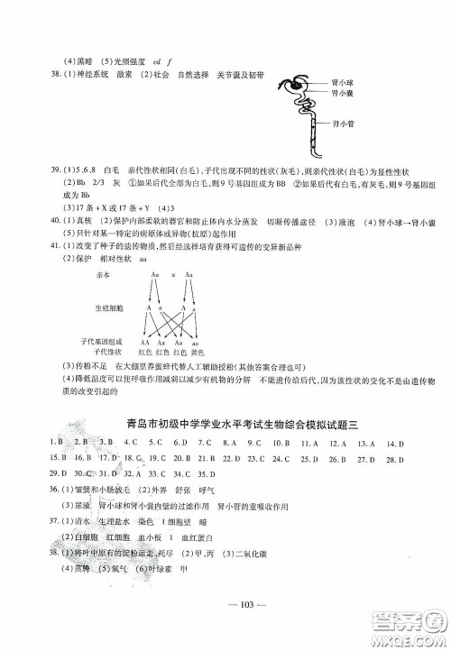 四维文化中考考什么2020中考冲刺模拟卷生物答案