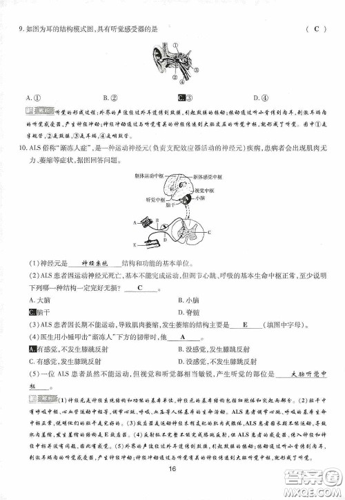 2020江西中考必备中考一卷通生物答案