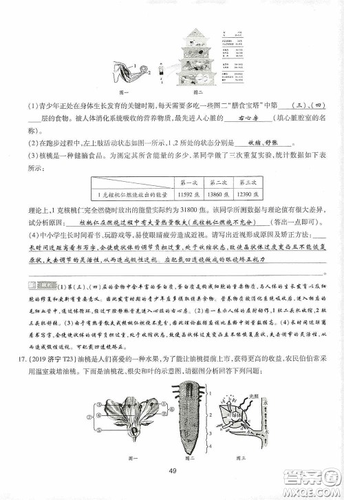 2020江西中考必备中考一卷通生物答案