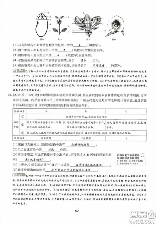 2020江西中考必备中考一卷通生物答案