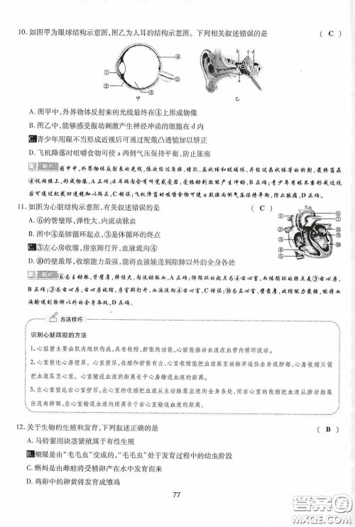 2020江西中考必备中考一卷通生物答案