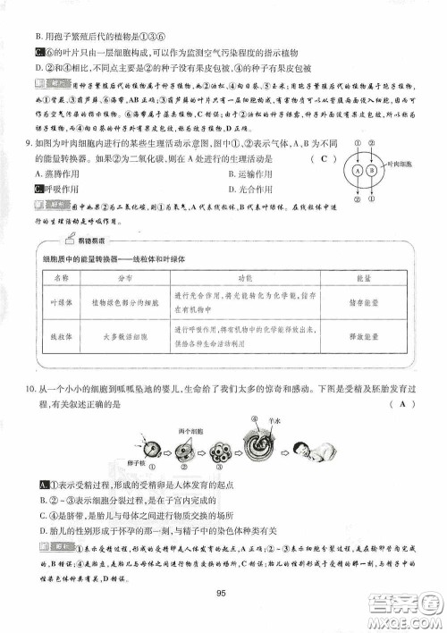 2020江西中考必备中考一卷通生物答案
