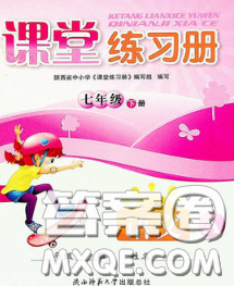 陕西师范大学出版社2020春课堂练习册七年级语文下册A版答案 陕西师范大学出版社2020春课堂练习册七年级语文下册A版答案