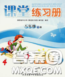 陕西师范大学出版社2020春课堂练习册八年级数学下册A版答案