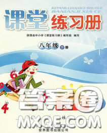 陕西师范大学出版社2020春课堂练习册八年级数学下册C版答案 陕西师范大学出版社2020春课堂练习册八年级数学下册C版答案