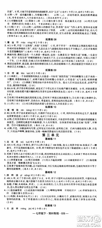 经纶学典2020年学霸组合训练语文七年级下册常州专用参考答案