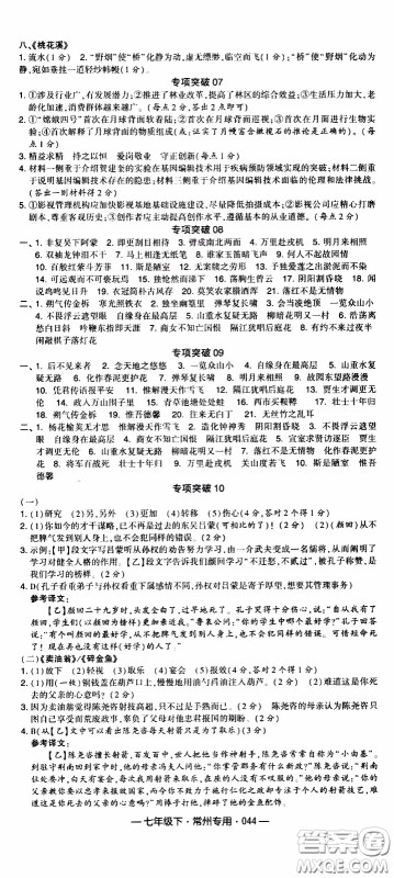 经纶学典2020年学霸组合训练语文七年级下册常州专用参考答案