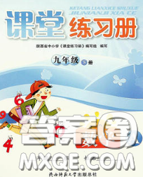 陕西师范大学出版社2020春课堂练习册九年级数学下册A版答案 陕西师范大学出版社2020春课堂练习册九年级数学下册A版答案