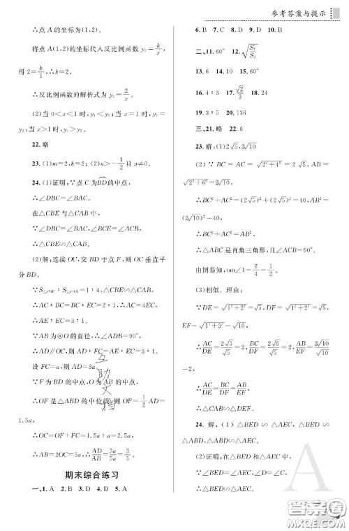 陕西师范大学出版社2020春课堂练习册九年级数学下册A版答案