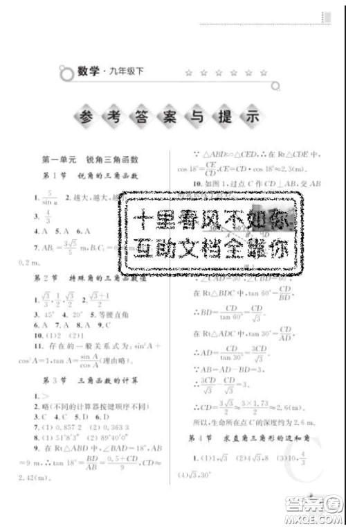 陕西师范大学出版社2020春课堂练习册九年级数学下册C版答案