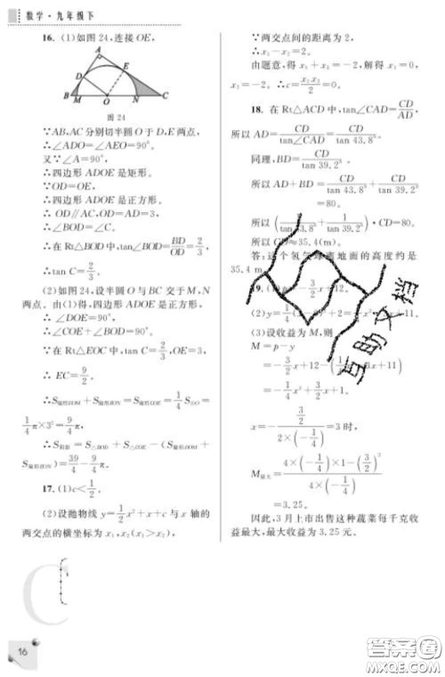 陕西师范大学出版社2020春课堂练习册九年级数学下册C版答案