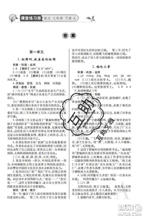 陕西师范大学出版社2020春课堂练习册九年级语文下册A版答案