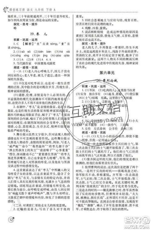 陕西师范大学出版社2020春课堂练习册九年级语文下册A版答案 陕西师范大学出版社2020春课堂练习册九年级语文下册A版答案