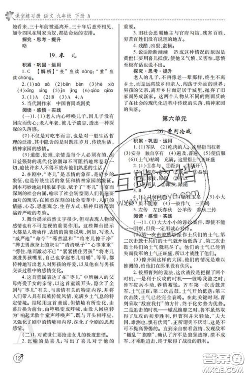 陕西师范大学出版社2020春课堂练习册九年级语文下册A版答案