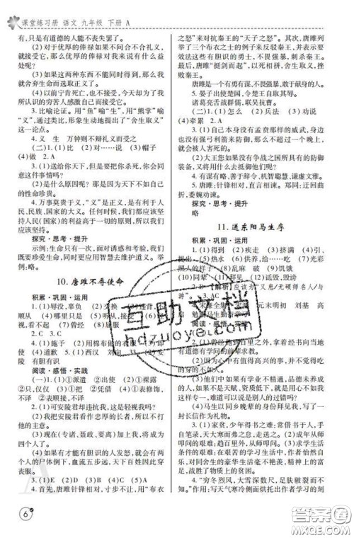 陕西师范大学出版社2020春课堂练习册九年级语文下册A版答案 陕西师范大学出版社2020春课堂练习册九年级语文下册A版答案