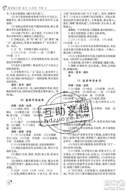 陕西师范大学出版社2020春课堂练习册九年级语文下册A版答案