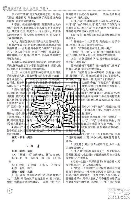 陕西师范大学出版社2020春课堂练习册九年级语文下册A版答案