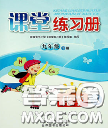 陕西师范大学出版社2020春课堂练习册九年级化学下册A版答案 陕西师范大学出版社2020春课堂练习册九年级化学下册A版答案