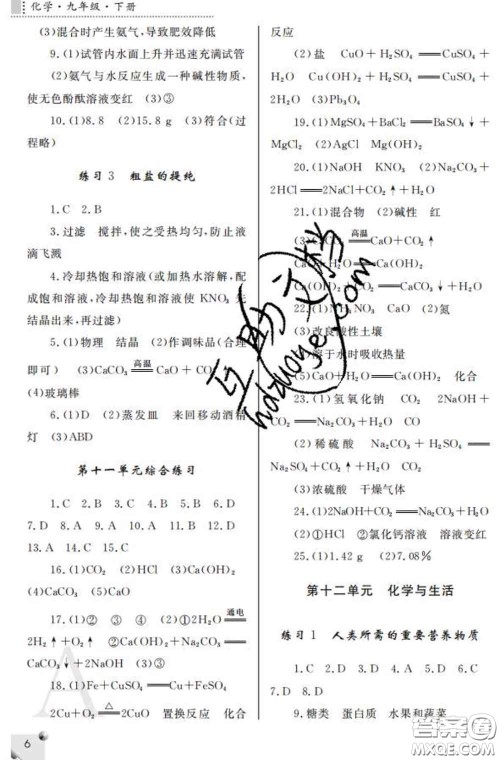 陕西师范大学出版社2020春课堂练习册九年级化学下册A版答案