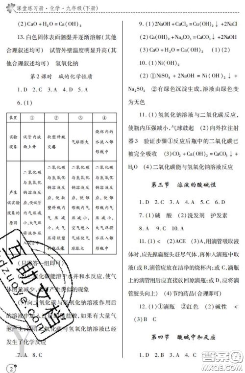 陕西师范大学出版社2020春课堂练习册九年级化学下册Y版答案