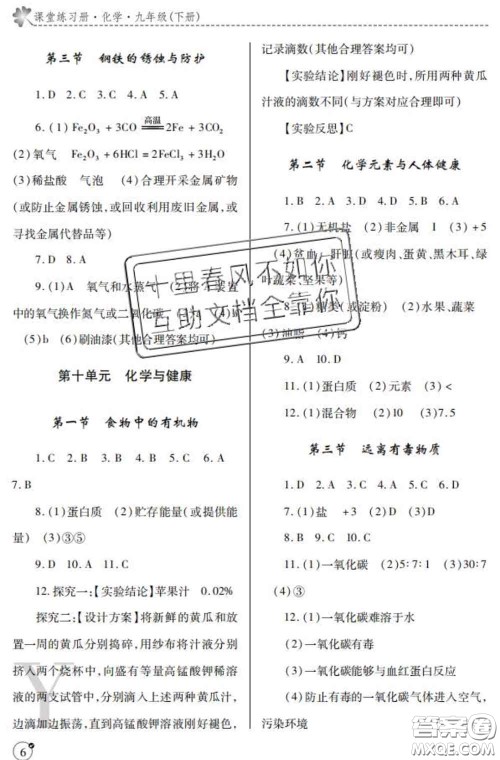 陕西师范大学出版社2020春课堂练习册九年级化学下册Y版答案