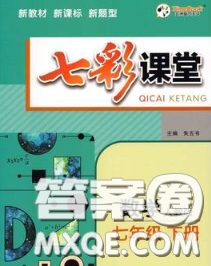 河北教育出版社2020春七彩课堂七年级数学下册人教版答案