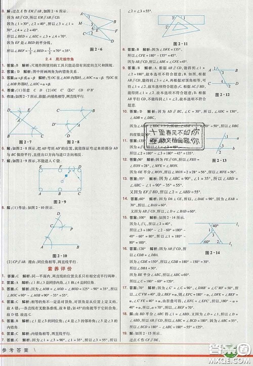 河北教育出版社2020春七彩课堂七年级数学下册北师版答案