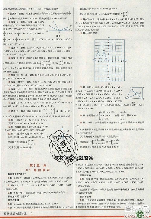 河北教育出版社2020春七彩课堂七年级数学下册青岛版六三制答案