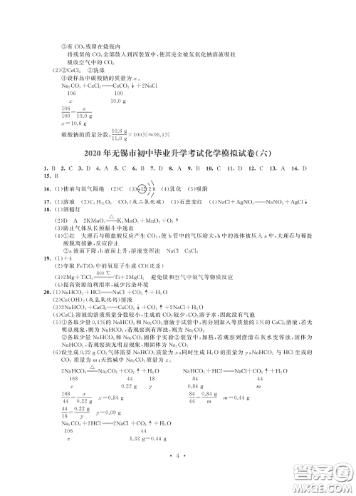 2020解锁中考中考模拟总复习化学答案