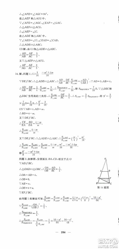 新疆青少年出版社2020黄冈密卷中考总复习数学通用版答案