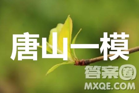 唐山市2019-2020学年度高三年级第一次模拟考试理科数学试题及答案