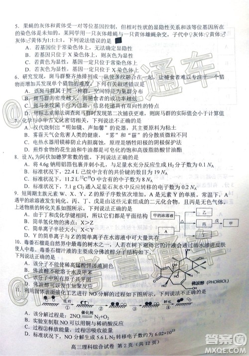 唐山市2019-2020学年度高三年级第一次模拟考试理科综合试题及答案 唐山市2019-2020学年度高三年级第一次模拟考试理科综合试题及答案