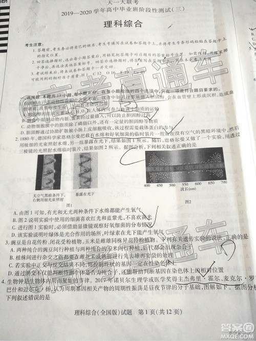 天一大联考2019-2020学年高中毕业班阶段性检测三理科综合试题及答案 天一大联考2019-2020学年高中毕业班阶段性检测三理科综合试题及答案