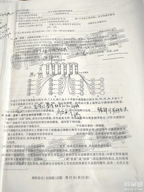 天一大联考2019-2020学年高中毕业班阶段性检测三理科综合试题及答案 天一大联考2019-2020学年高中毕业班阶段性检测三理科综合试题及答案