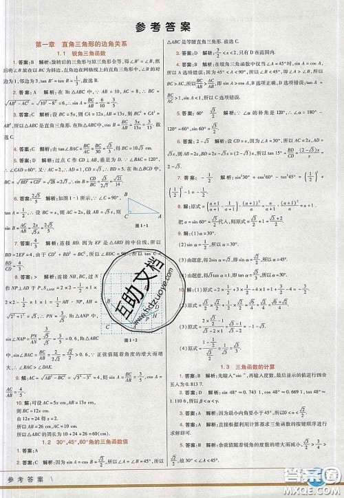 河北教育出版社2020春七彩课堂九年级数学下册北师版答案