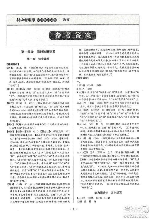 浙江人民出版社2020新中考集锦全程复习训练语文A本课后作业本答案