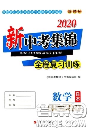 浙江人民出版社2020新中考集锦全程复习训练数学B本课后作业本答案