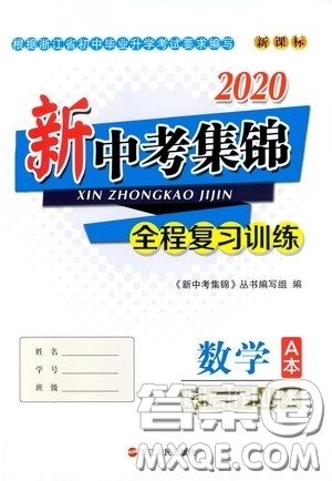 浙江人民出版社2020新中考集锦全程复习训练数学A本课后作业本答案